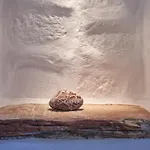 Gal-paros! * باروس